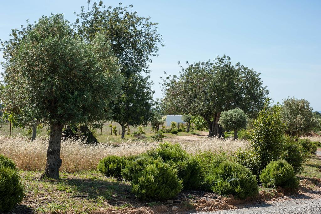 Гостевой дом Pensao Agricola Кабанаш-де-Тавира Экстерьер фото